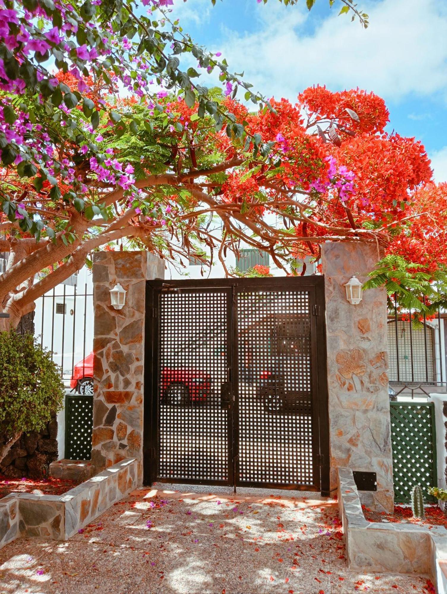 Apartamentos Las Acacias Puerto del Carmen  Exterior foto